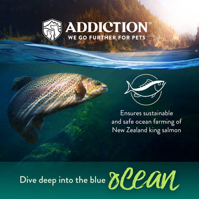 Addiction Grain-Free Salmon Bleu Dry Dog Food, dive deep into the blue ocean salmon, addiction