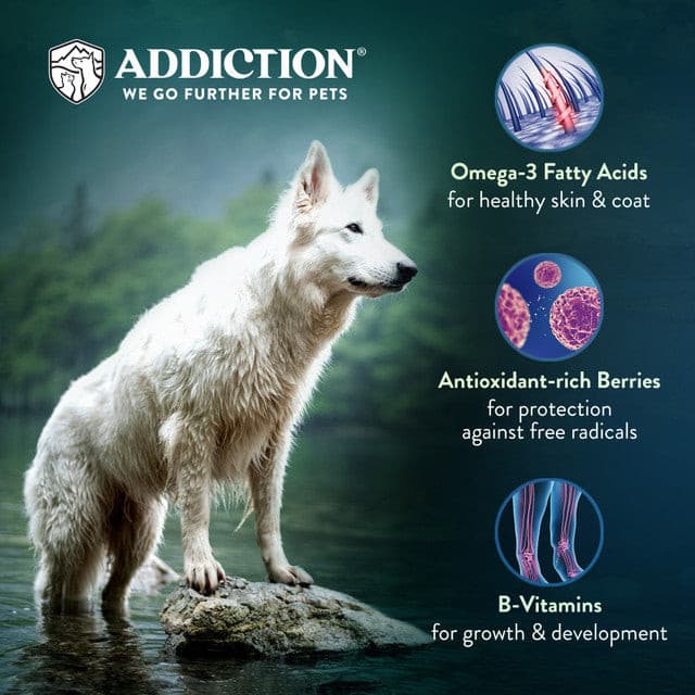 Addiction Grain-Free Salmon Bleu Dry Dog Food, white dog eating addiction poster, pet essentials