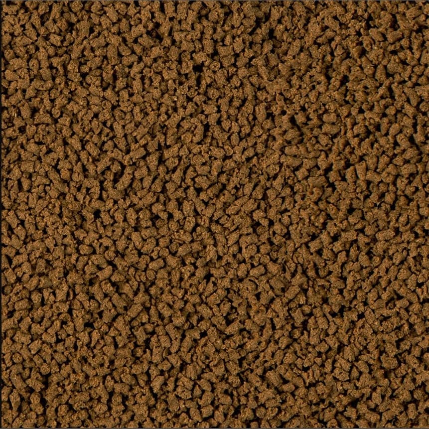 Sera Insect Granules, Sera Fish Food sample, Pet Essentials Warehouse Napier,