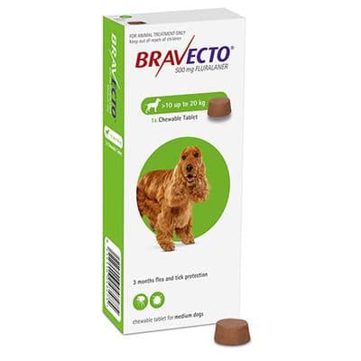 Bravecto Chewable Tablet Flea & Tick Treatment For Medium Dogs 10 to 20kg, Pet Essentials Napier, Pets Warehouse, PEt Essentials Hastings