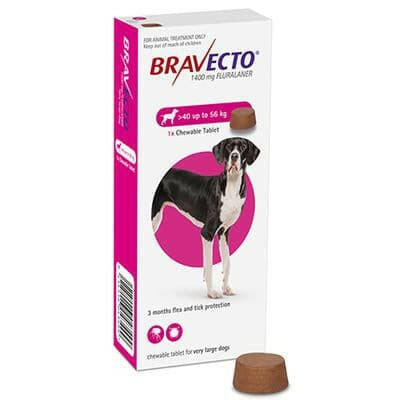 Bravecto Chewable Tablet Flea & Tick Treatment For XL Dogs 40 to 56kg, Pet Essentials Napier, Pets Warehouse, Pet Essentials Porirua