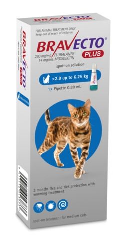 Bravecto Plus Spot On Flea Treatment For Cats 2.8-6.25kg, Pet Essentials Napier, Pets Warehouse, Pet Essentials Porirua, bravecto cat 3 monthly