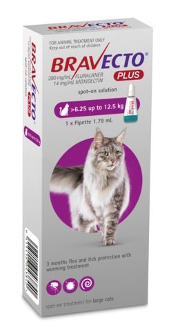 Bravecto Plus Spot On Flea Treatment For Cats 6.25-12.5kg, Pet Essentials Napier, Pets warehouse, pet essentials warehouse