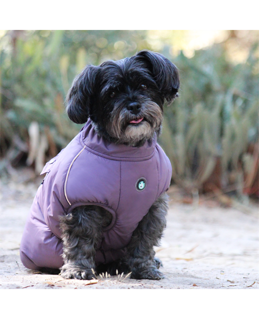 Huskimo Dog Coat Cardrona Grape black dog wearing, pet essentials warehouse