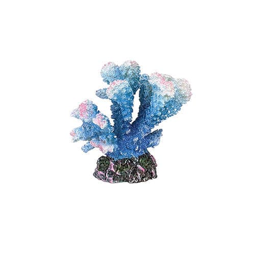 Aqua Care Ornament Coral Blue, Pet Essentials Warehouse, Pet City