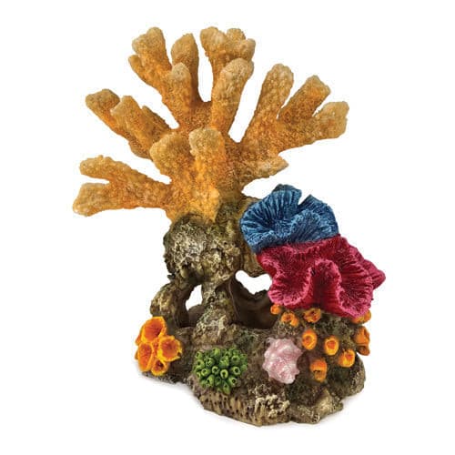 Aqua Care Ornament Coral On Rock Yellow 19cm, Pet Essentials warehouse, pet city
