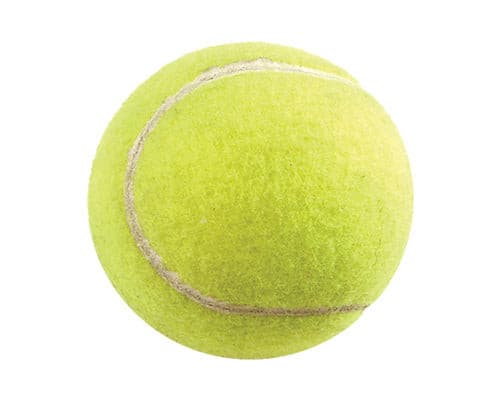 Canine Care Tennis Ball XLarge Dog Toy