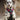 Huskimo Ultimate Harness Uluru, Huskimo,  Dog Harnesses,  Pet Essentials Warehouse.