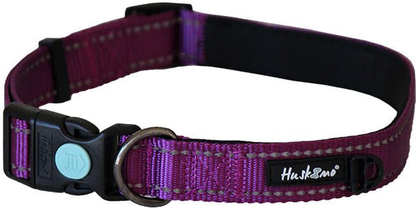 Huskimo Trekpro Dog Collar Aurora, Pet Essentials Napier, Pets warehouse, Pet Essentials Online, The pet centre wellington, huskimo purple dog collar