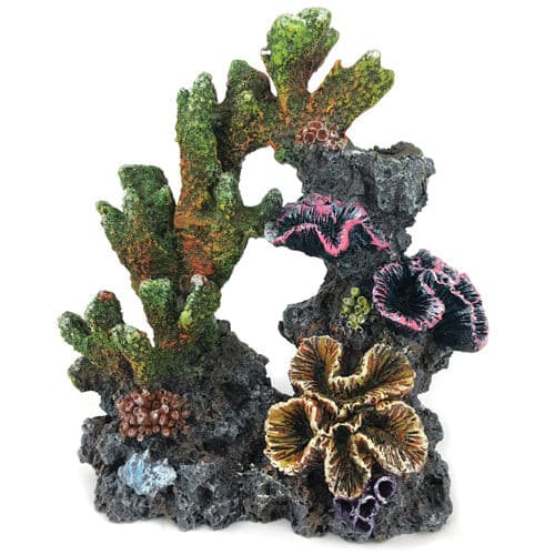Aqua Care Ornament Coral Arch Large 25cm, Pet Essentials Warehouse, Pet Essentials Porirua,