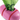 Beco Pocket Poo Bags & Dispenser Pink, Beco,  Popp Bag Holders,  Pet Essentials Warehouse.