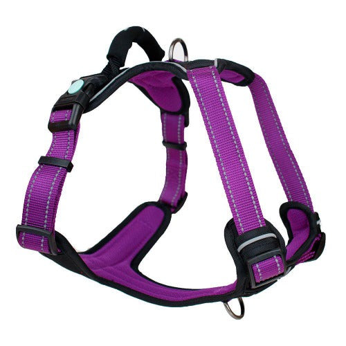 Huskimo Ultimate Harness Aurora, Pet Essentials Napier, Pets Warehouse, The Pet Centre Wellington, walking dog harness purple