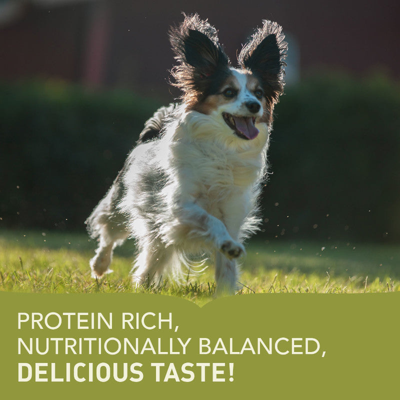Acana Adult Small Breed protein rich poster, pet essentials warehouse