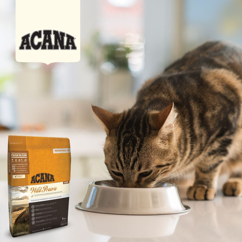 Acana Cat Wild Prairie cat eating, acana logo, pet essentials warehouse