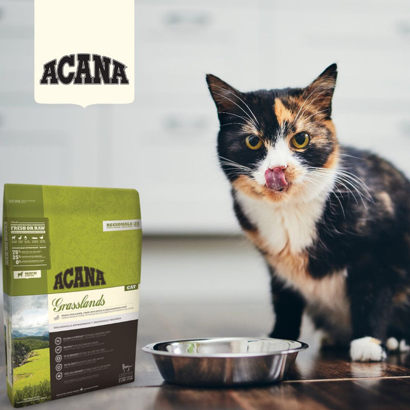 cat licking its lips eating Acana Regionals Grasslands Dry Cat Food, pet essentials warehouse