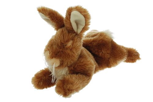 Yours Droolly Rabbit Dog Toy, Pet essentials napier, pets warehouse, pet essentials hastings