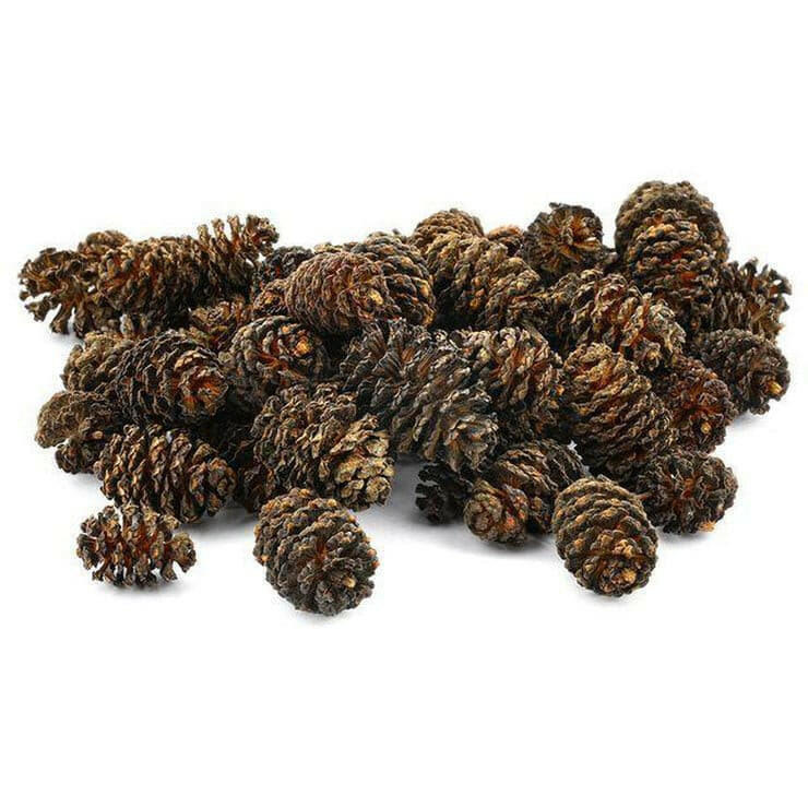Sera Alder Cones 50 packs, pet essentials napier