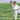 Beau Pets Gentle Leader Easy Walk Harness, Beau Pets,  Dog Harnesses,  Pet Essentials Warehouse.