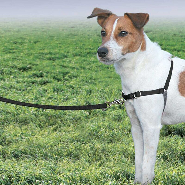 Beau Pets Gentle Leader Easy Walk Harness Correction Harnesses Pet