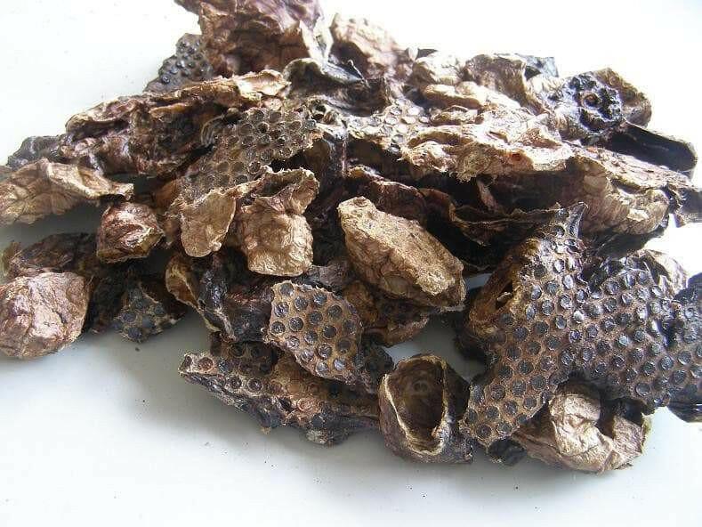 Beef Marshmallow Bites 100g -  - Pet Essentials Online - Pet Essentials Napier - Hollywood Fish Auckland - Pet Essentials Hastings - pet Essentials Porirua - pet stock Hastings - Animates Napier - Happy Animals Taradale - Pet Store Napier - Fishly - Pet Essentials New Plymouth - Pet Essentials NZ 