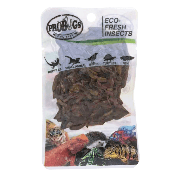 Pro Bugs Black Solider Fly Larvae, Pet Essentials Napier, Fishly, Hollywood Fish, Happy Animalz, Chicken food