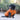 Huskimo Dog Coat Cardrona Turmeric, Huskimo Coats,  Dog Clothing,  Pet Essentials Warehouse.
