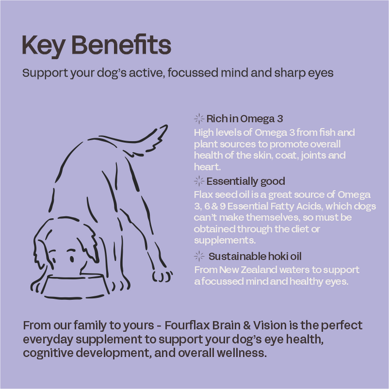 Fourflax Brain & Vision Nutritional Oil Supplement for Dogs key benefits, pet essentials