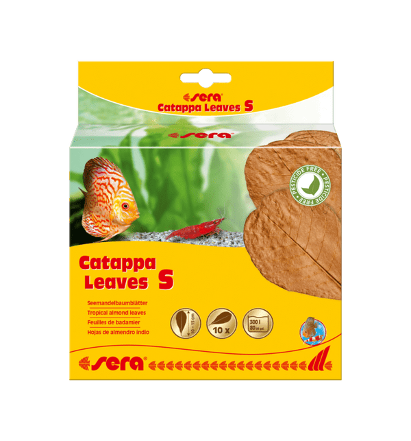 Sera Catappa Leaves Small, Small indian almond leaves, Pet Essentials Warehouse