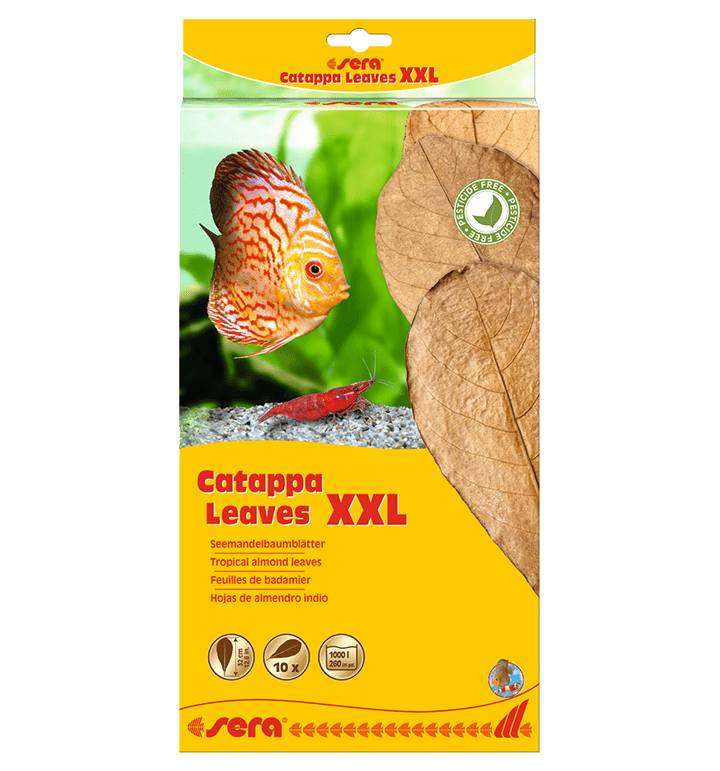 Sera Catappa Leaves XXL, XXL indian almond leaves, Pet Essentials Warehouse