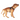 Ezydog Cross Check Harness, EzyDog,  Dog Harnesses,  Pet Essentials Warehouse.