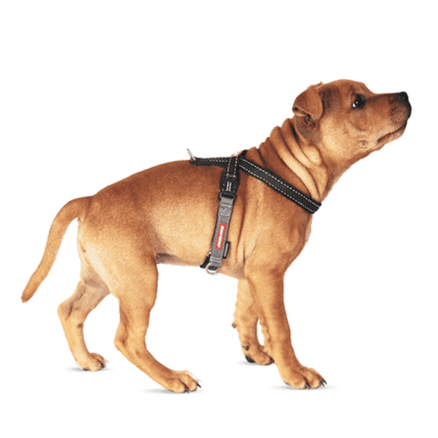 Ezydog no sale pull harness