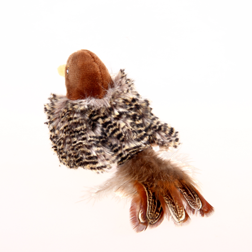 GiGwi Melody Chaser Bird Cat chaser toy, pet essentials warehouse