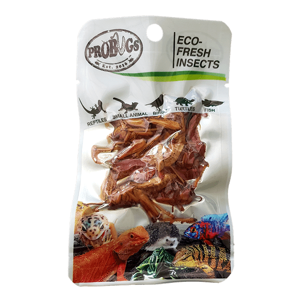 Pro Bugs Grasshoppers, Pet Essentials Napier, Pet Essentials, Hollywood fish, Fishly, Happy Animalz