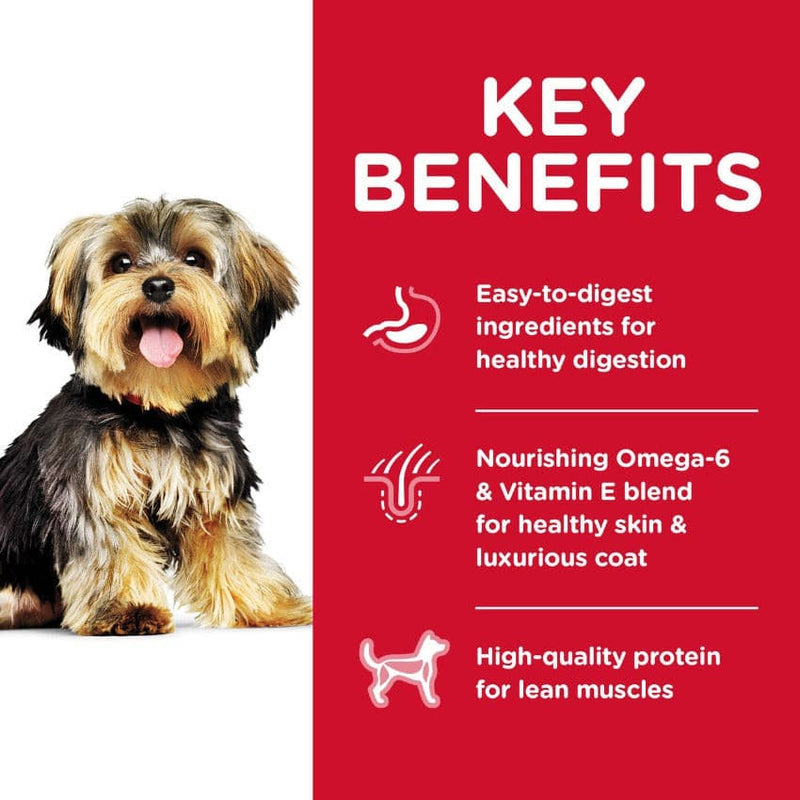 Hills Science Diet Small Paws Adult, Hills Key Benefits