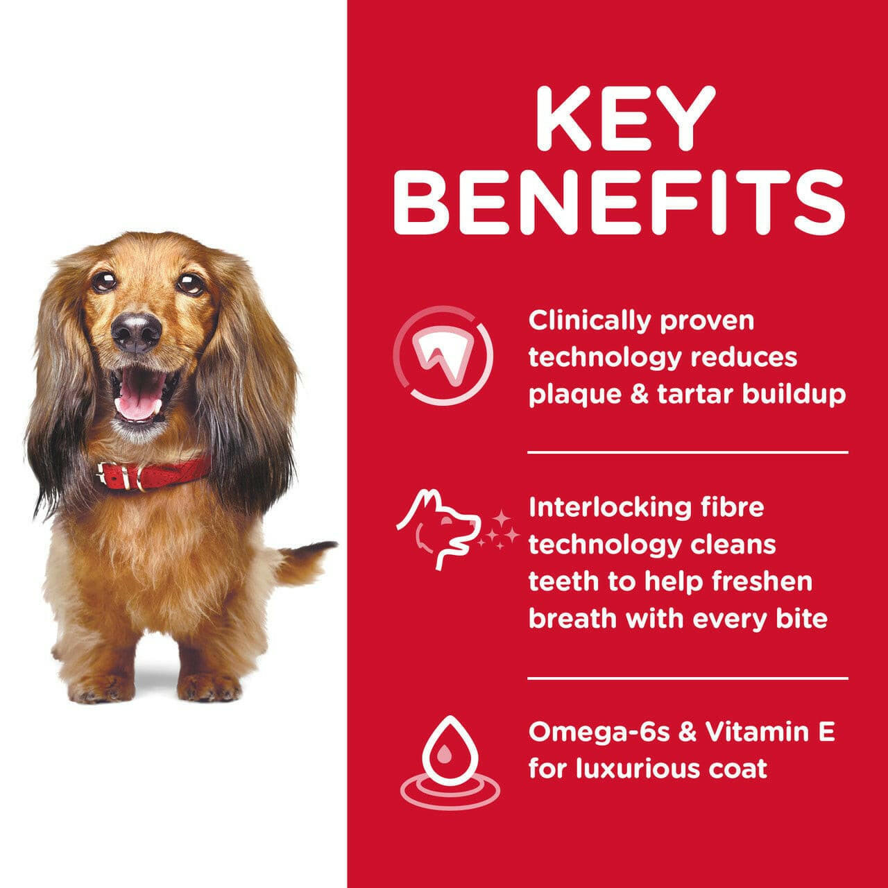Hill's Science Diet Adult Oral Care Dry Dog Food key benefits, pet essentials warehouse