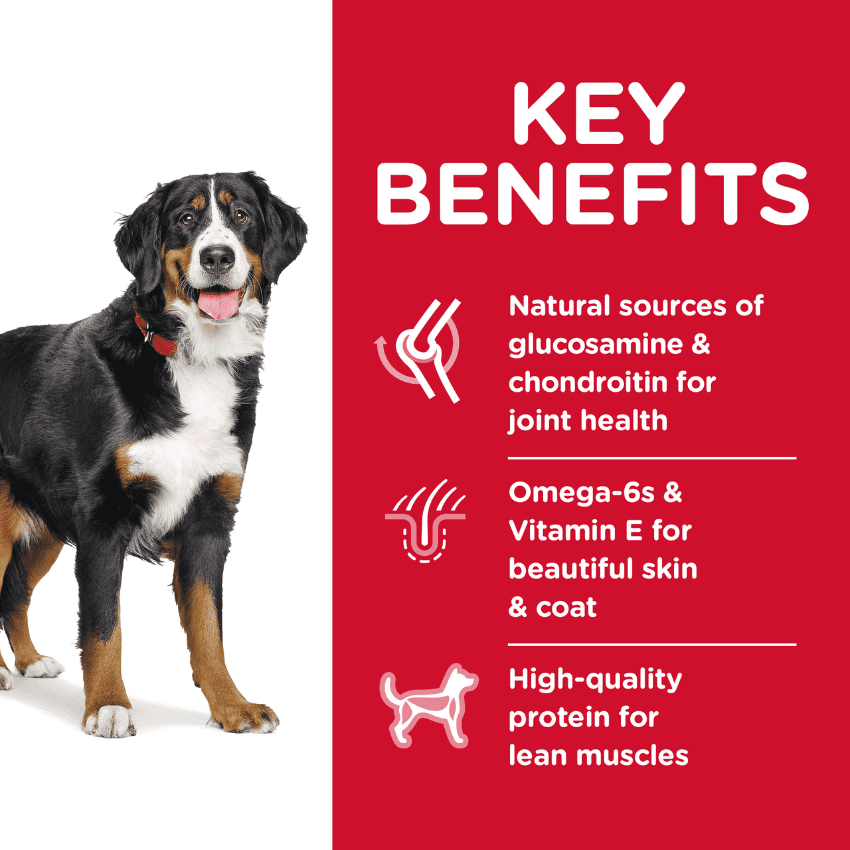 Hills Science Diet Large Breed Adult, Key Benefits