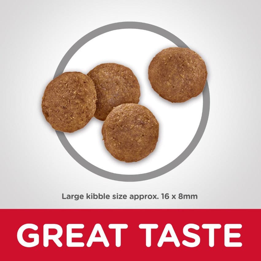 Hills Science Diet Large Breed Adult, Kibble Size