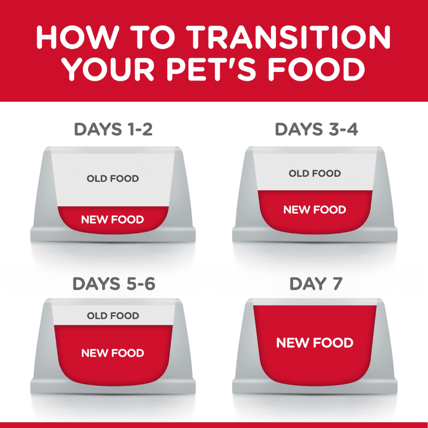 Hills Science Diet Large Breed Adult, Hills Transition Guide