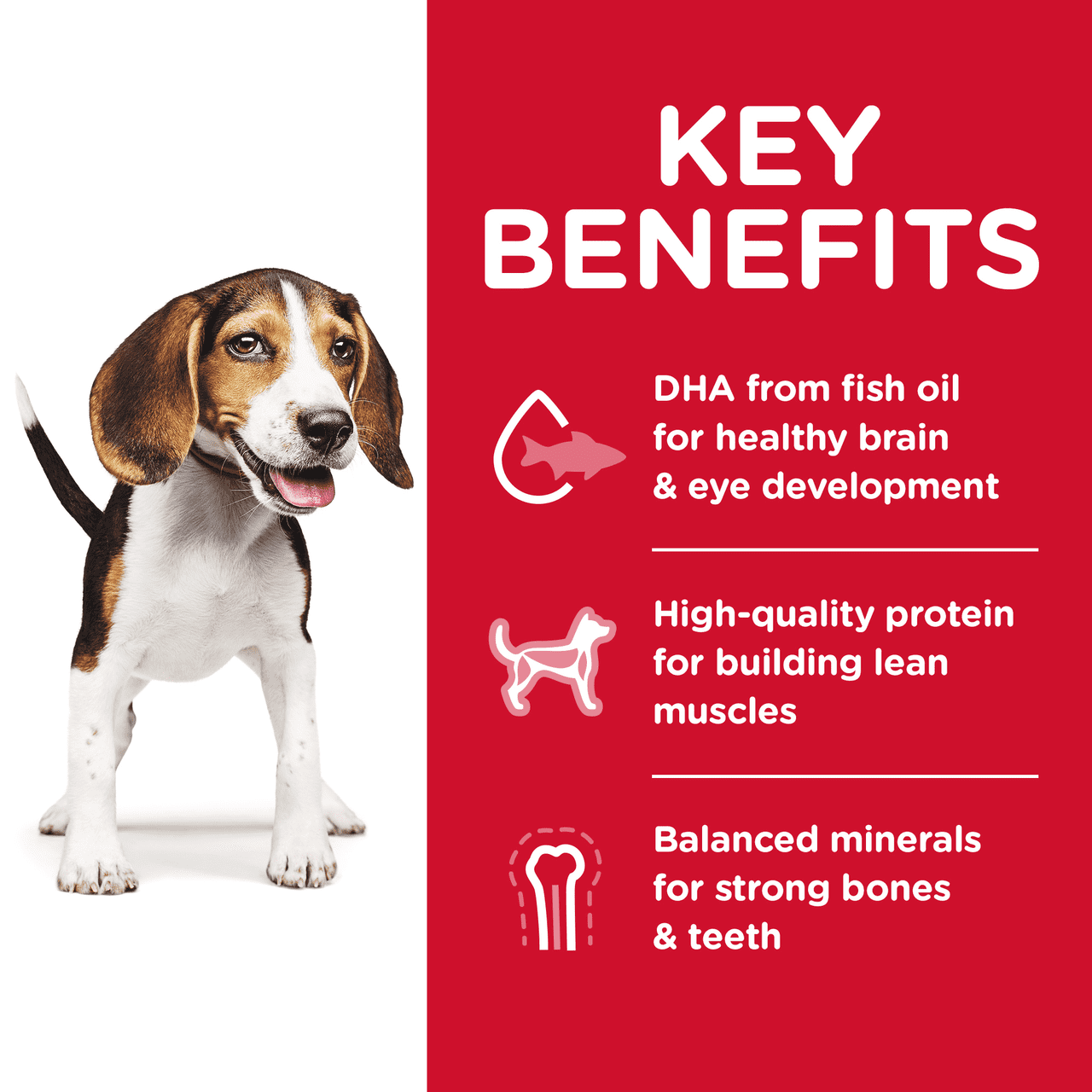 Hill's Science Diet Dry Puppy Food key benefits, Pet Essentials Warehouse
