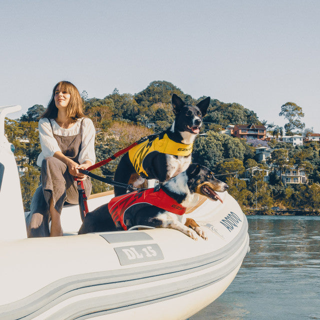 Ezydog Lifejacket DFD X2 Boost Red dogs wearing it on the boat, pet essentials warehouse napier