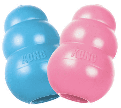 Kong Puppy Dog Toy Blue, Pet Essentials Napier, kong puppy training toy, Koong NZ, Pet Essentials Hastings