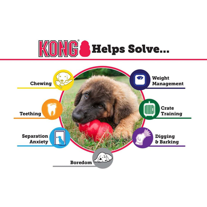 Kong Puppy Dog Toy chart, german Shepheard puppy chewing kong puppy toy 
