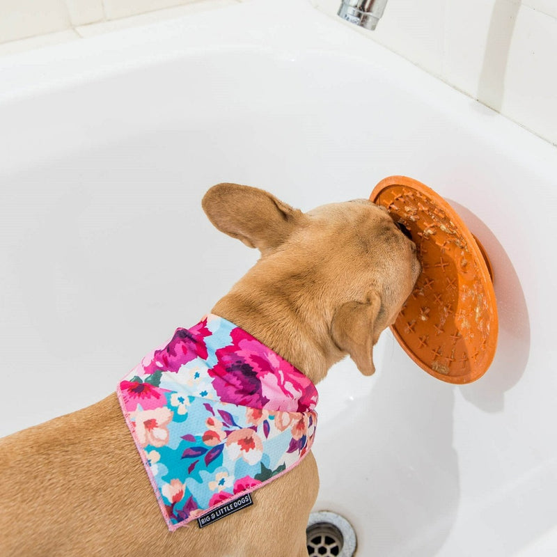 dog in bath licking LickiMat Splash orange, dog wearing floral bandana, pet essentials warehouse, pet city
