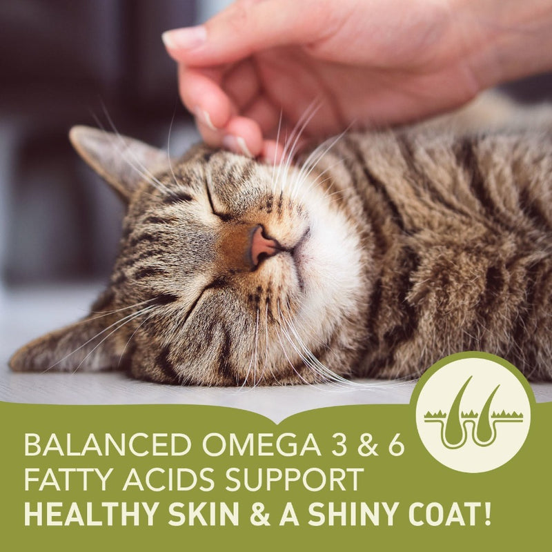 Acana Cat Wild Prairie balanced omega 3 diet, pet essentials warehouse