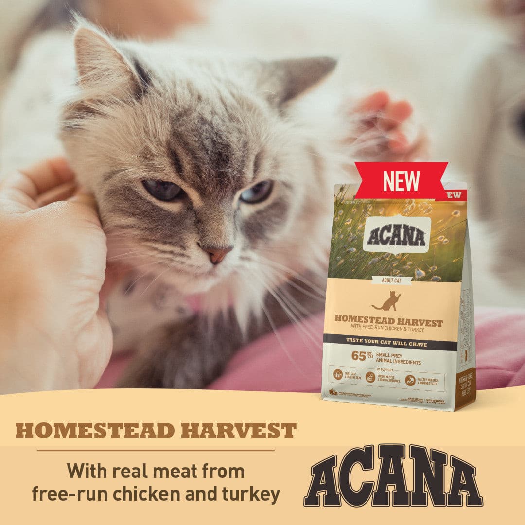 Acana Homestead Harvest Adult Acana Adult Dry Cat Food Pet