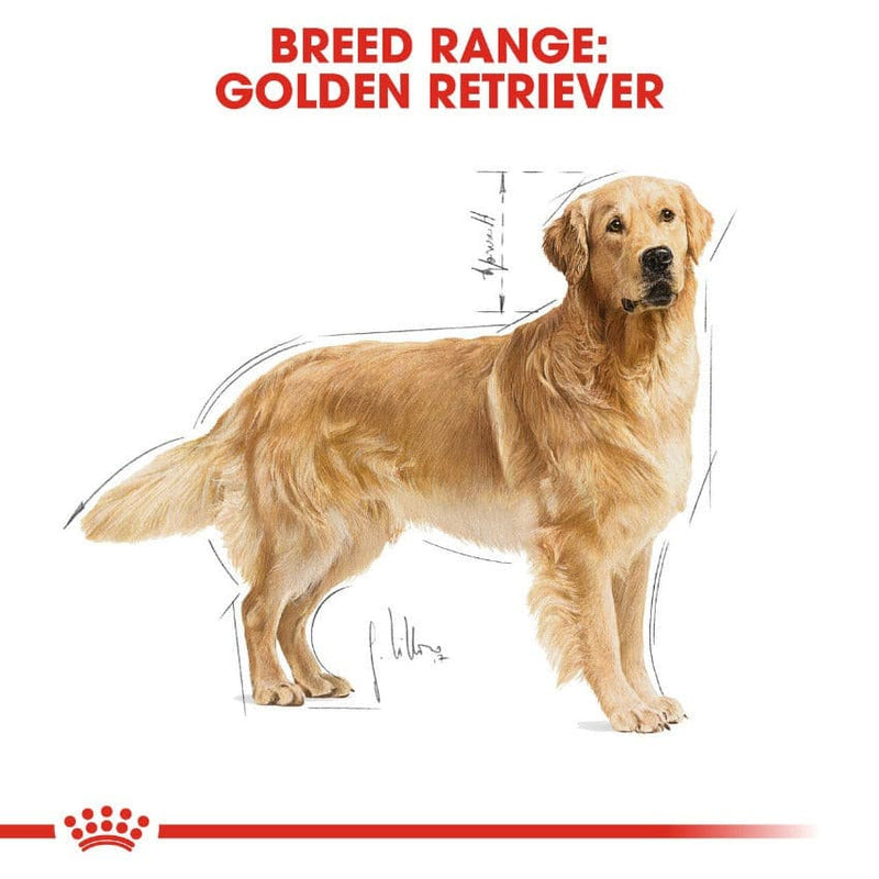 Royal Canin Golden Retriever, Golden Retriever Dog Food