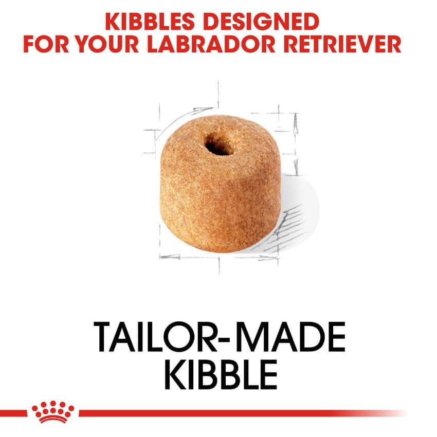 Royal Canin Labrador Retriever Adult Kibble Size and Shape