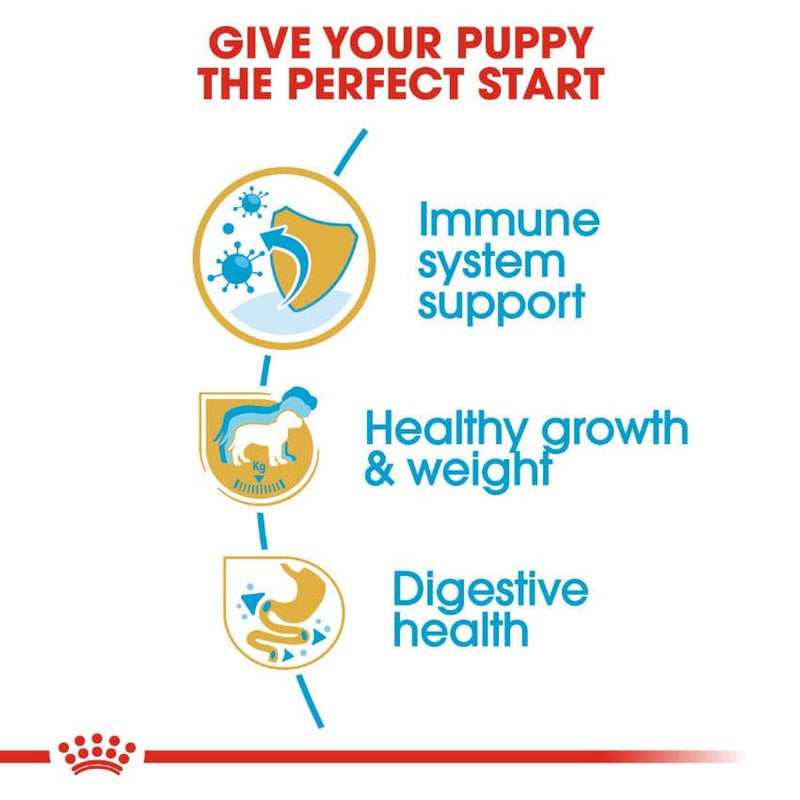 Royal Canin Labrador Retriever Benefits