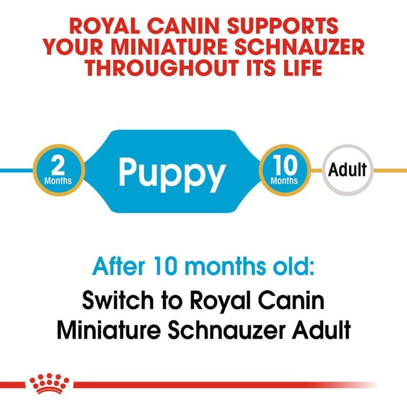 Royal Canin Miniature Schnauzer Puppy Lifestage
