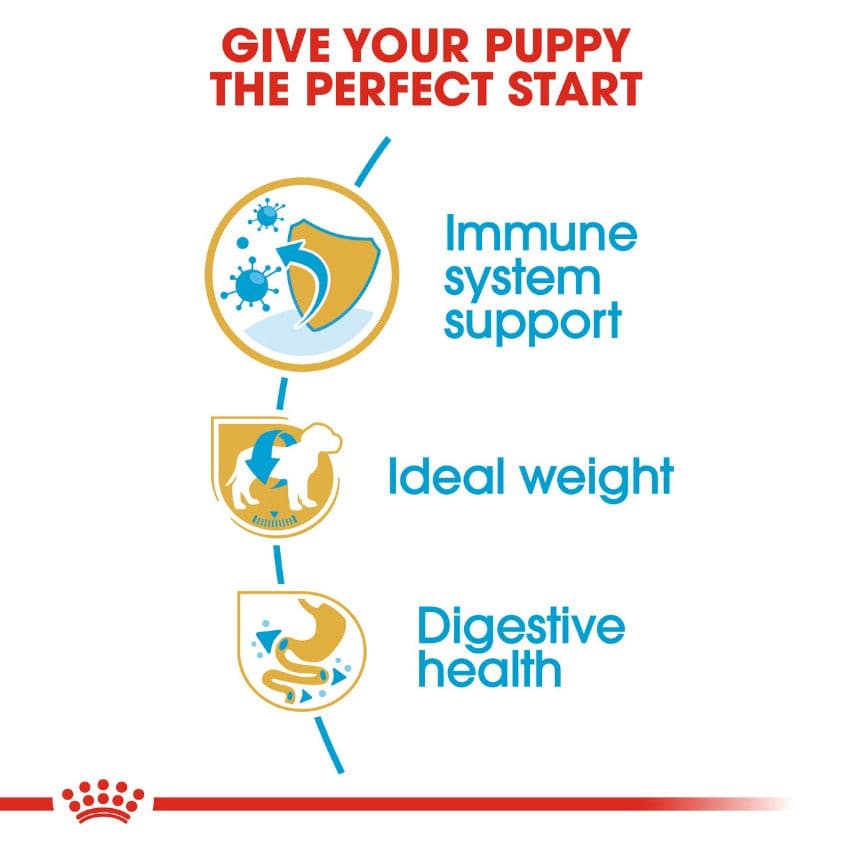 Royal Canin Miniature Schnauzer Puppy Benefits